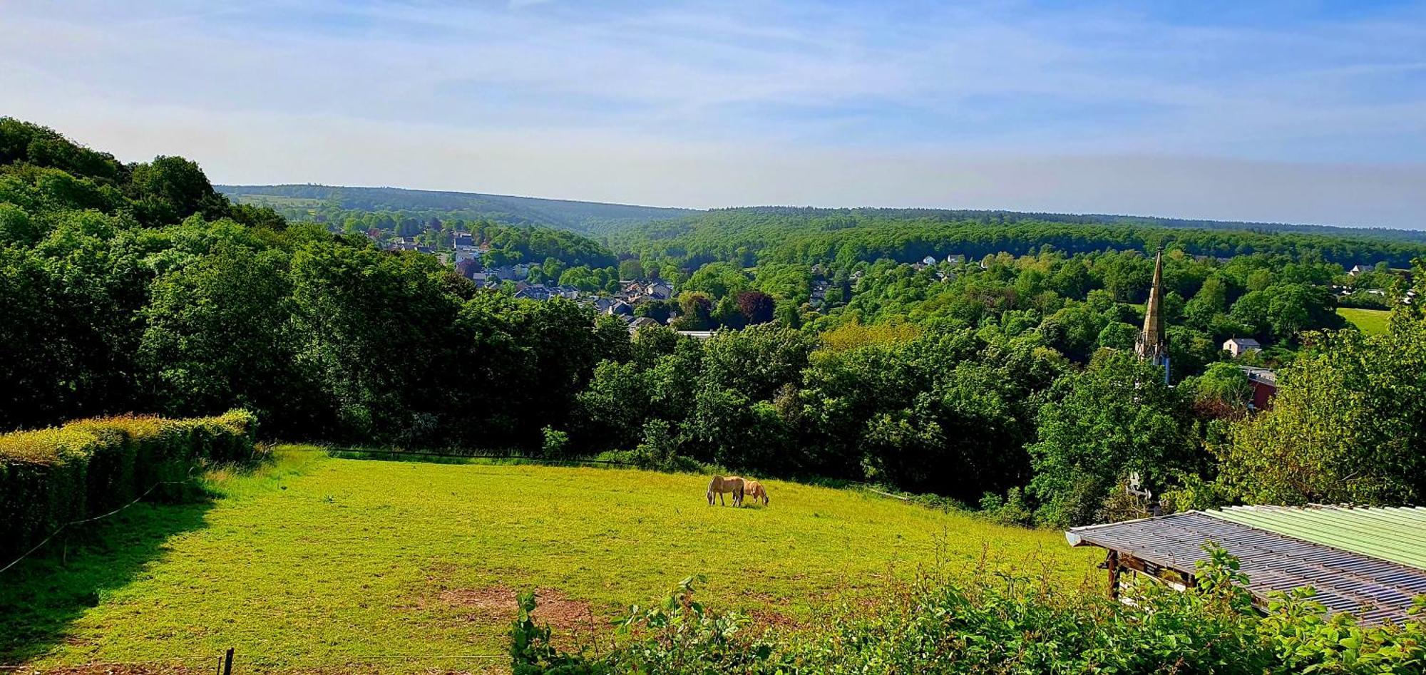 Gite Kaleo Eupen Jugendherberge Экстерьер фото